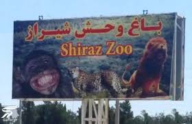 رامبو، خرس سیاه باغ وحش شیراز تلف شد+ عکس